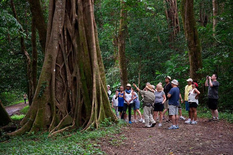 Trail 12: Santa Rosa National Park