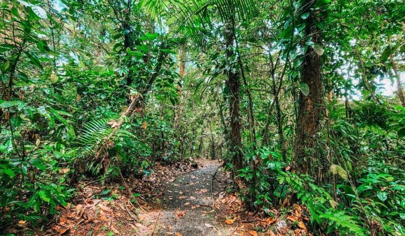 Trail 15: Braulio Carrillo National Park