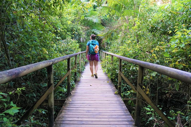 Trail 5: Manuel Antonio National Park