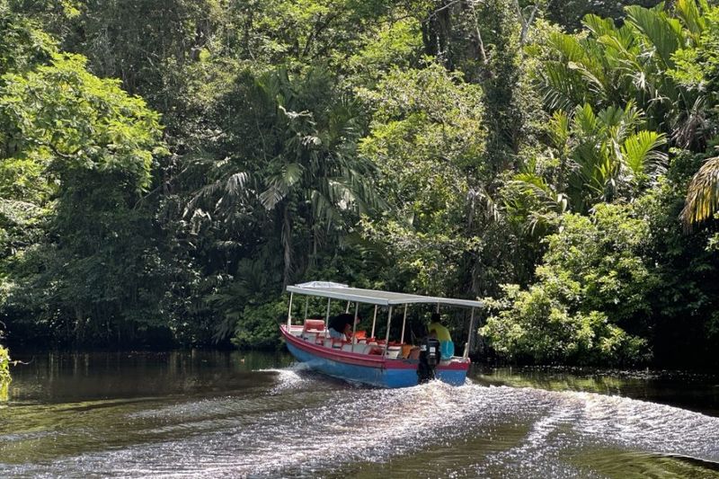 Trail 8: Tortuguero National Park