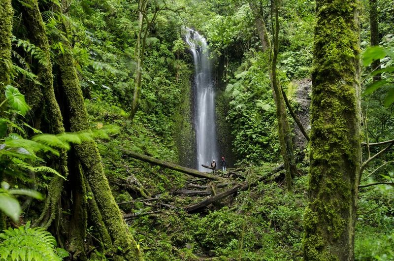 Trail 10: La Amistad International Park