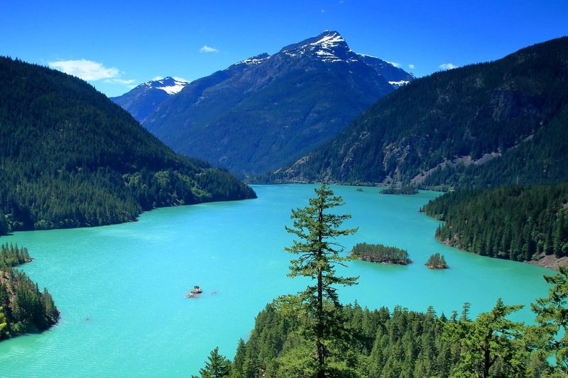 Turquoise Wonder