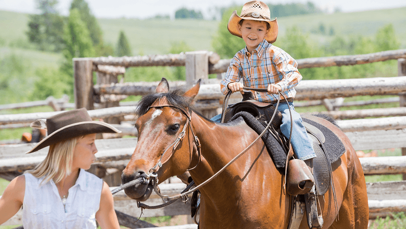 Dude Ranches & Farm Stays