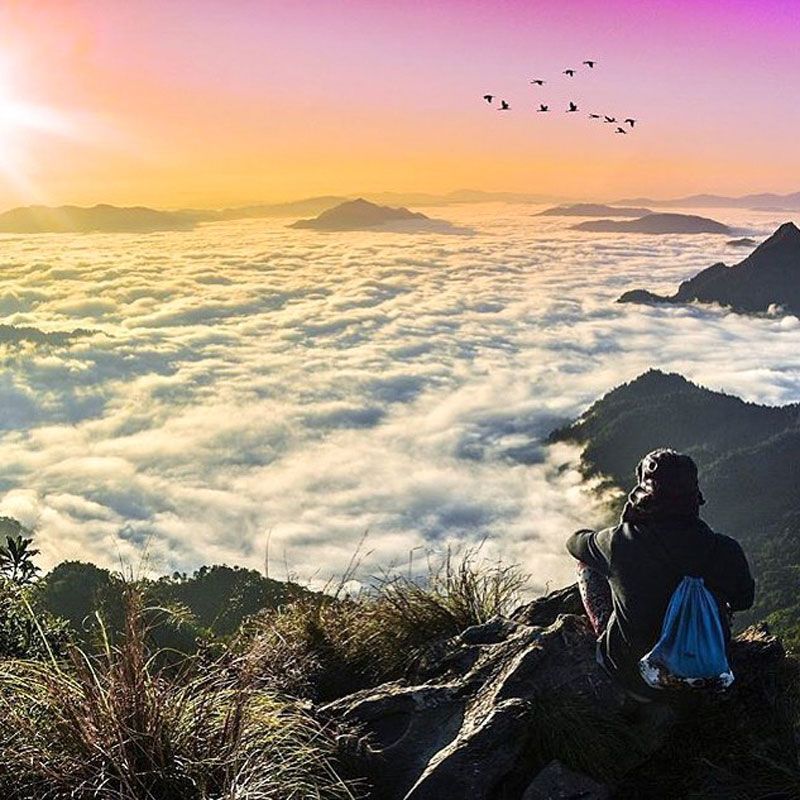 Phetchabun's Cloud Forest Sanctuary