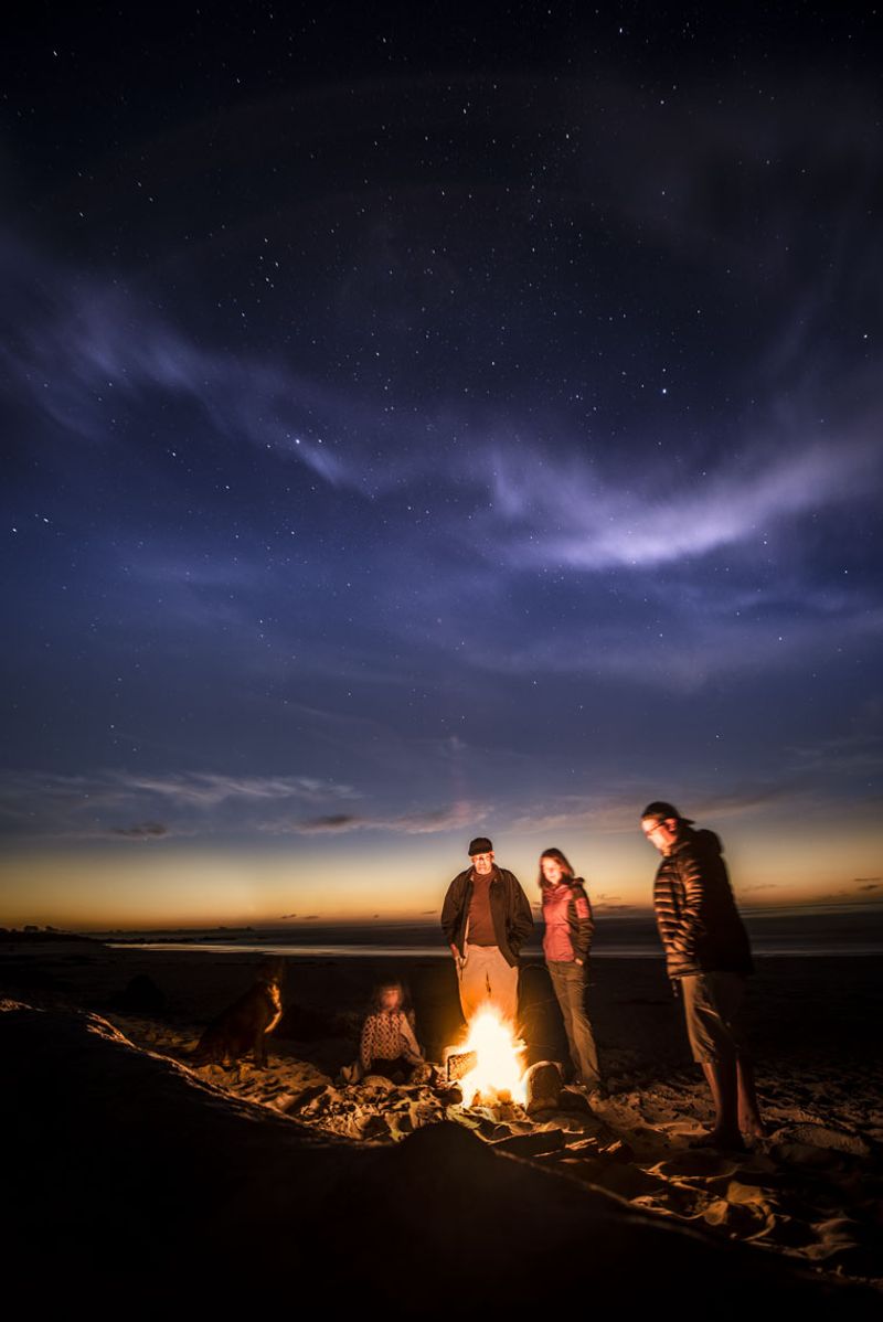 Nature's Night Show