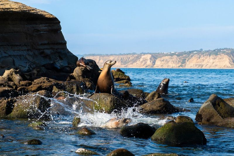 La Jolla, California