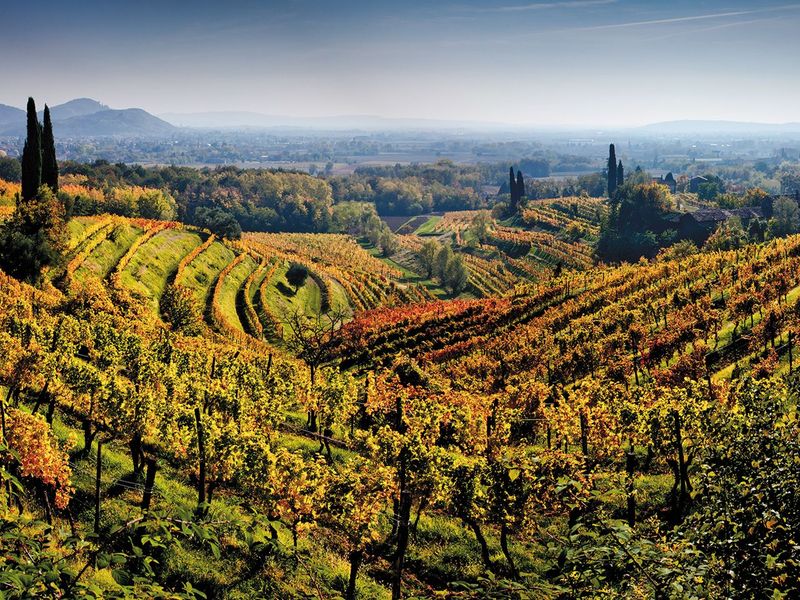 Underground Winemaking in Friuli