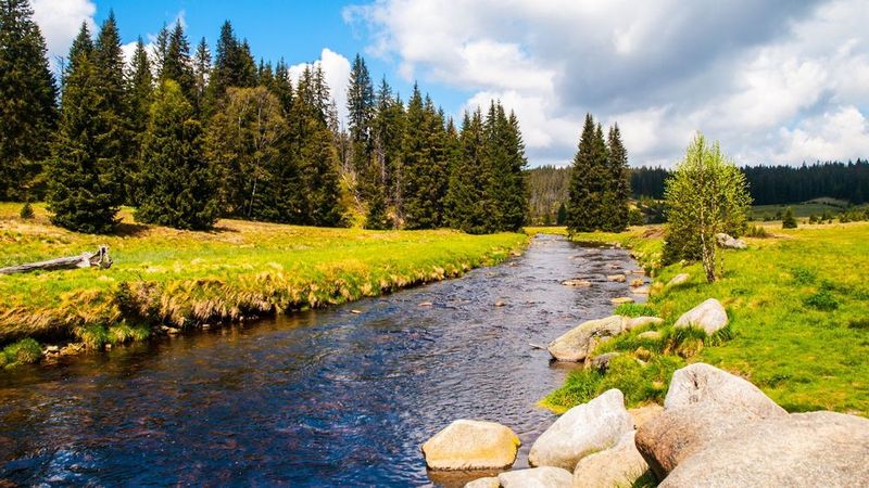 Sumava National Park