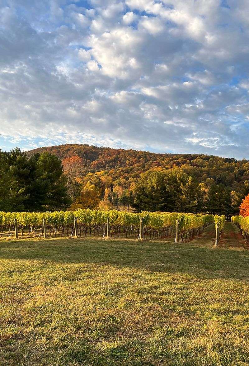 Pollak Vineyards – Hidden Gem with Bordeaux Beauty
