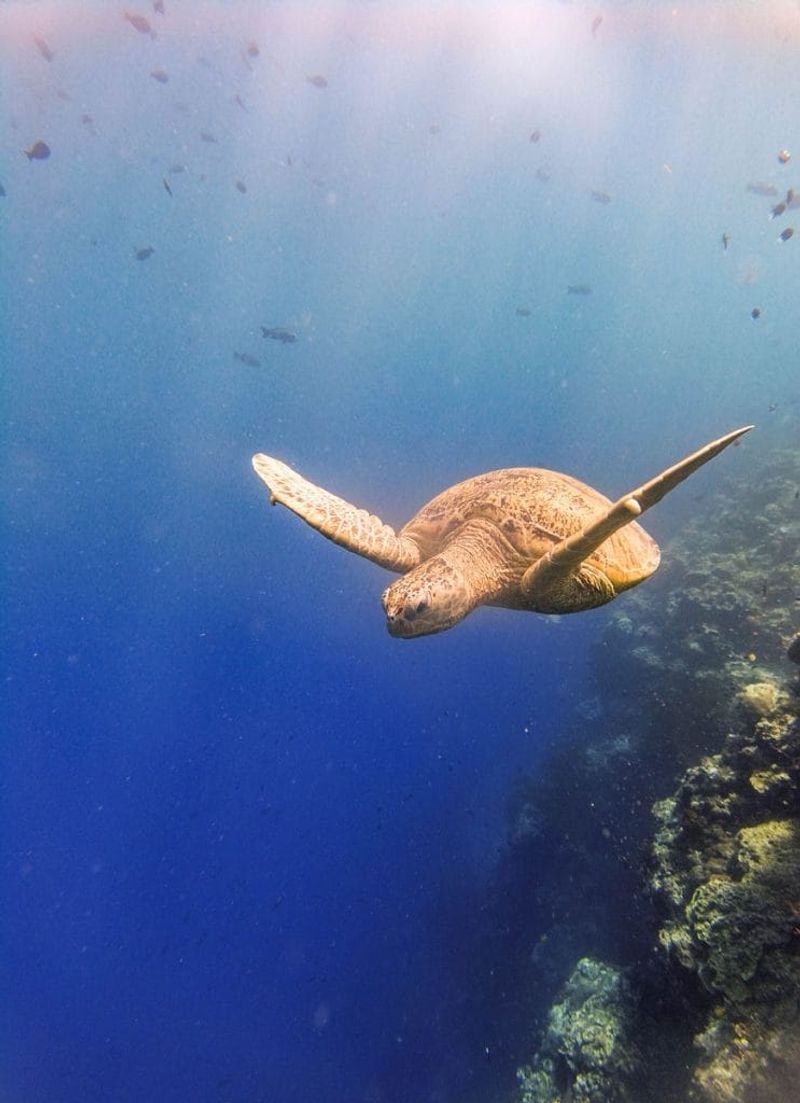 Sipadan Island, Malaysia