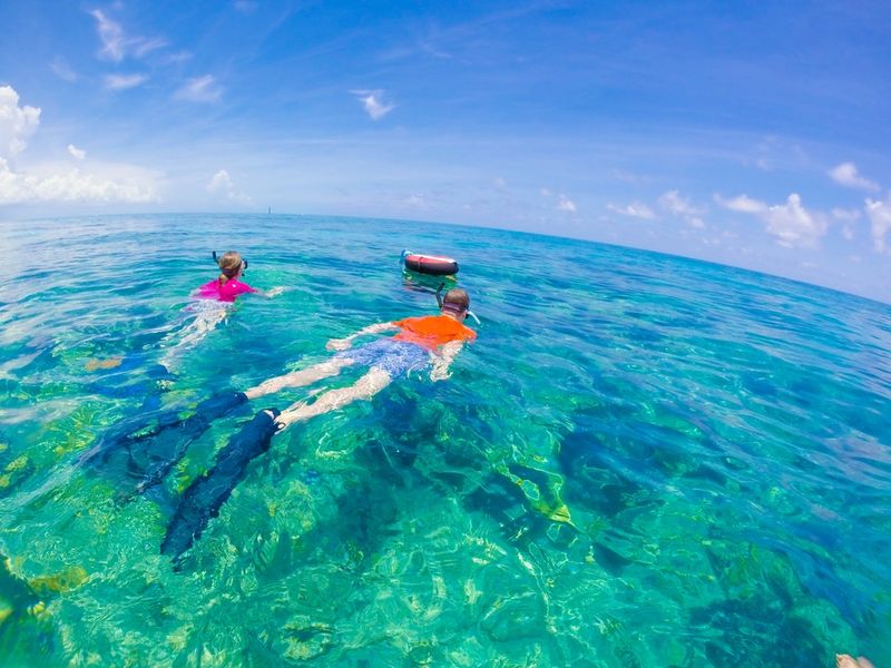 Seahorse Key