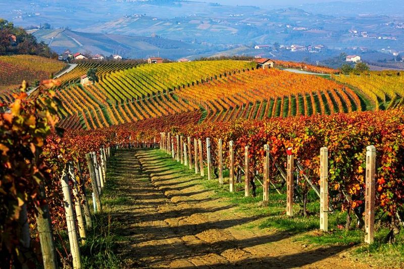 Langhe Hills, Piedmont