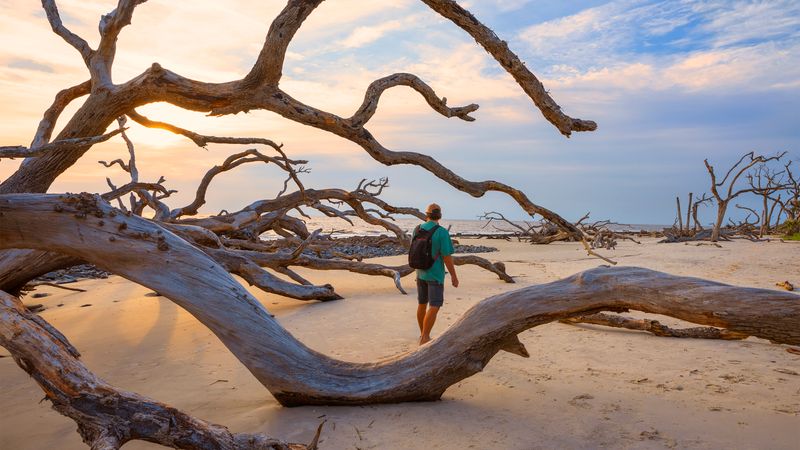 Jekyll Island State Park Beach