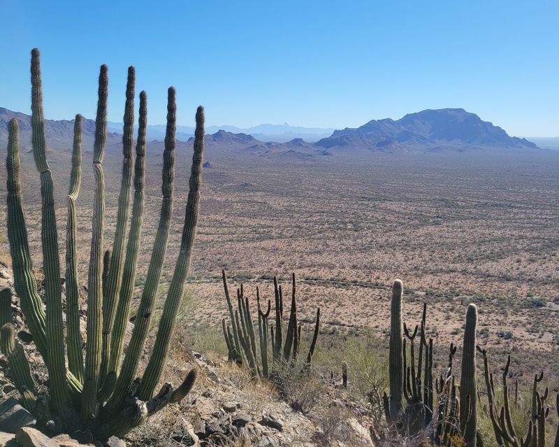 Tohono O'odham Nation