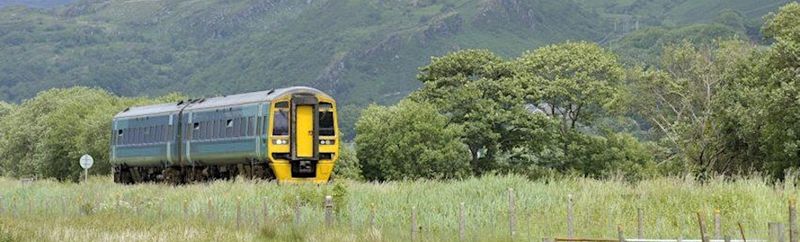 Limited Public Transportation