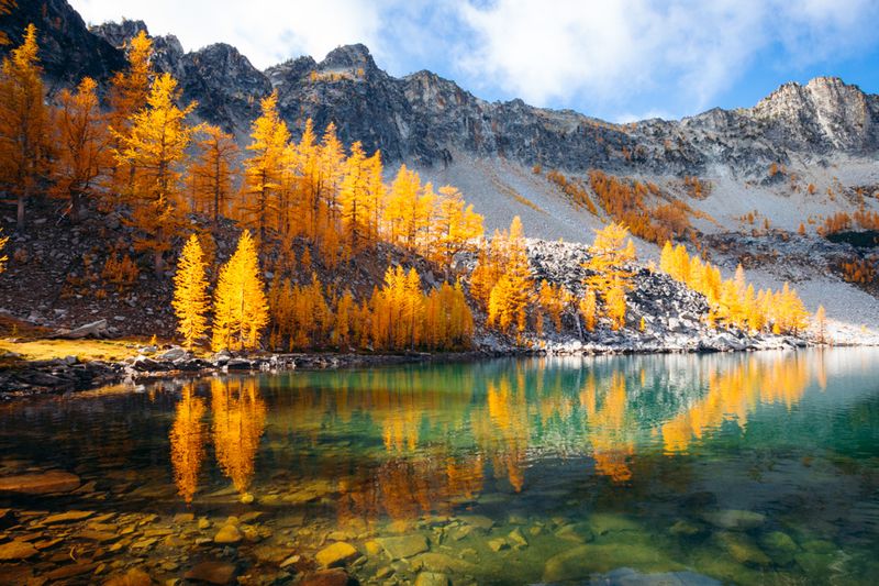 Autumn Splendor
