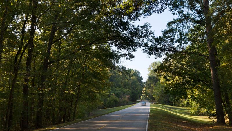 Natchez Trace Parkway: History's Green Corridor