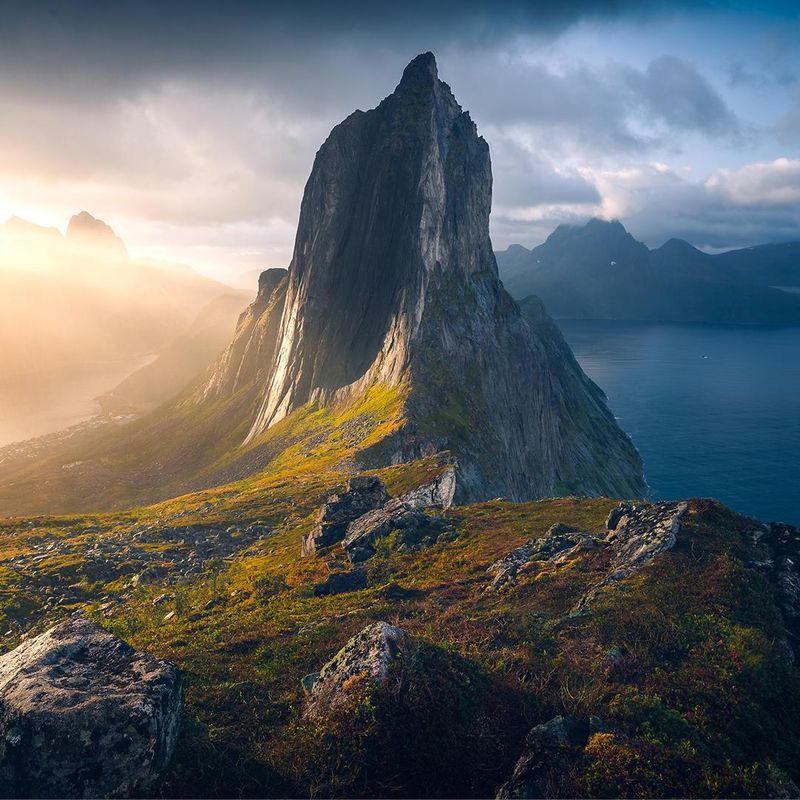 Senja