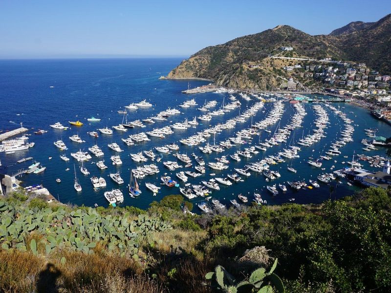 Santa Catalina Island