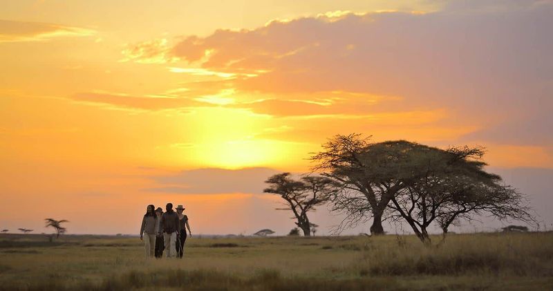 Serengeti National Park, Tanzania