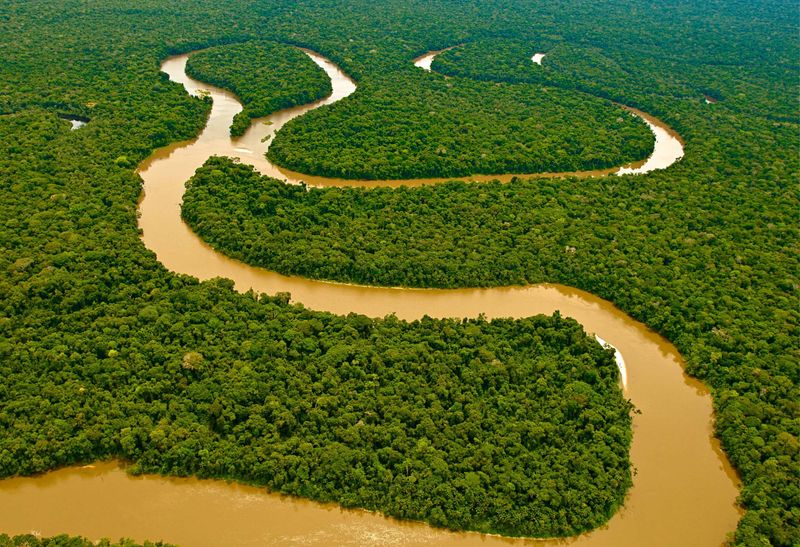The Amazon Rainforest, Brazil