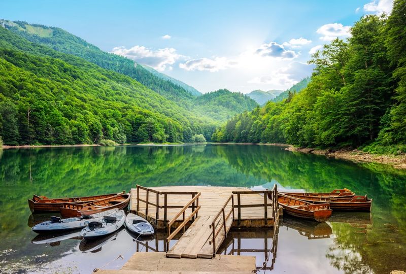 Biogradska Gora National Park, Montenegro