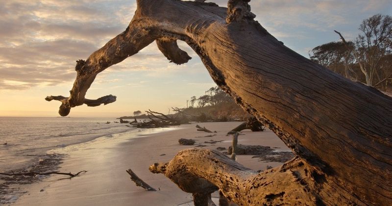 Little Talbot Island