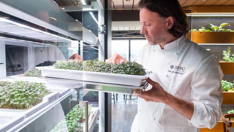 Culinary Labs and Farms