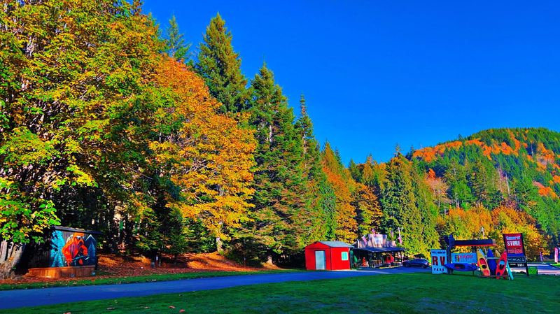 Heart O' the Hills Campground — Olympic National Park, Washington