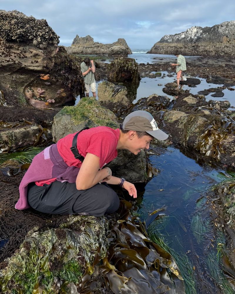 Yachats' Tide Pool Laboratory