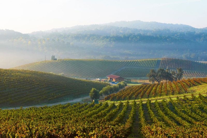 Paso Robles, California