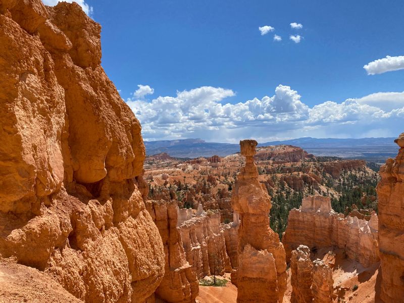 Arizona