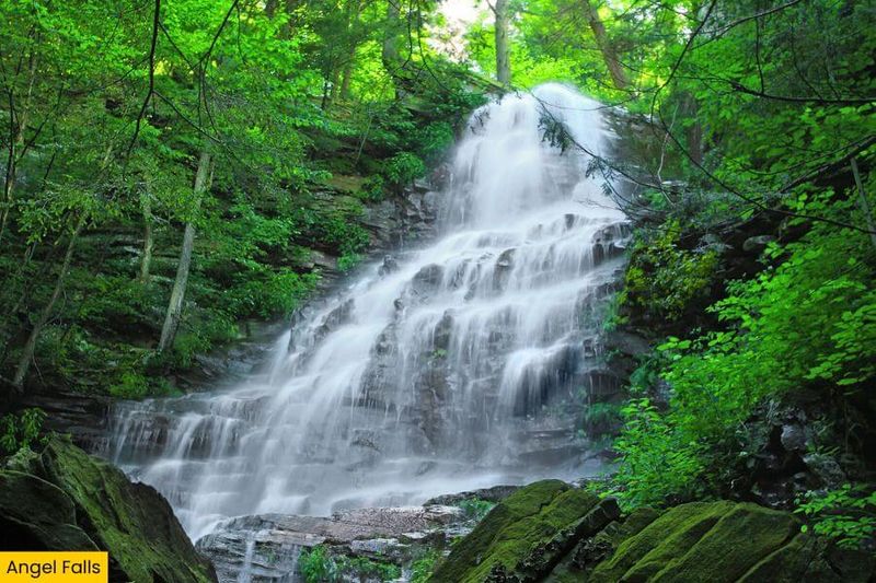 Angel Falls