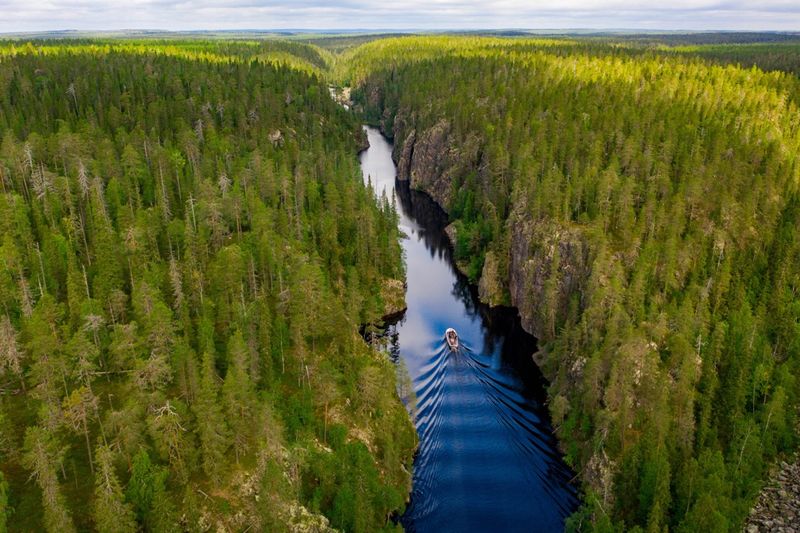 Kainuu Wilderness – Finland