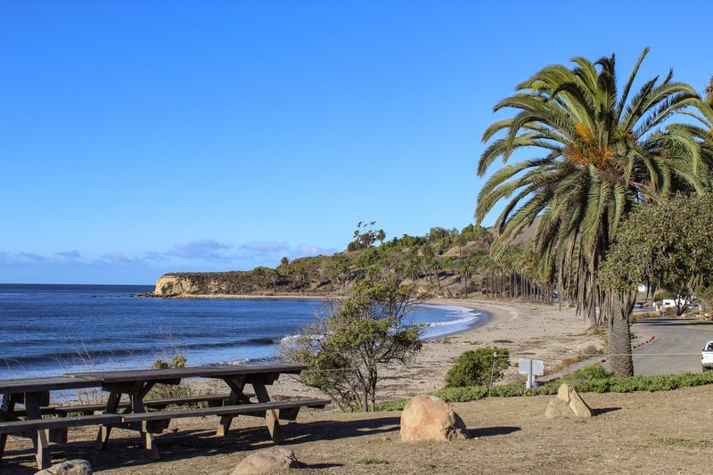 Palm-Lined Paradise at Refugio State Beach