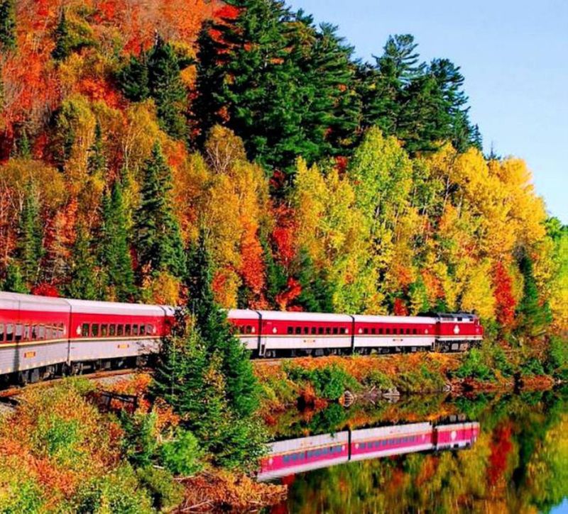 Agawa Canyon Tour Train: Fall Foliage Spectacular