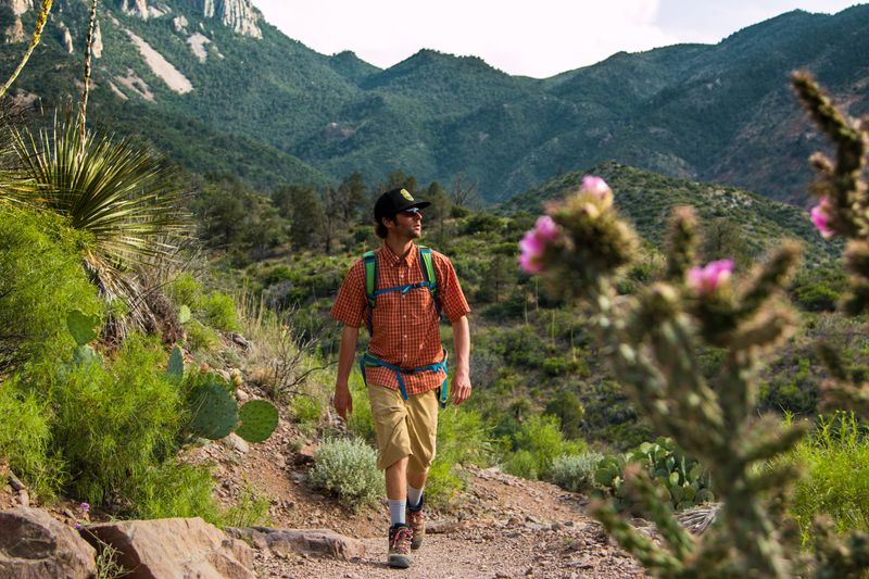 Scenic Hiking Trails