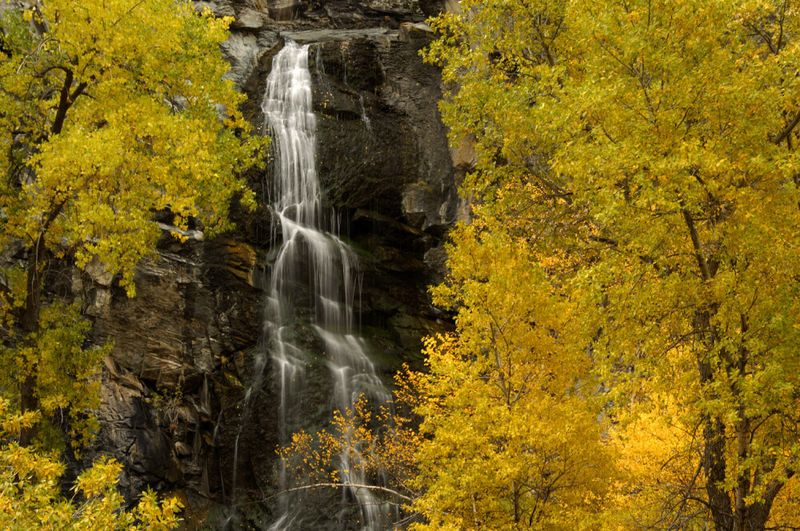 Stunning Fall Colors (Rivaling New England)