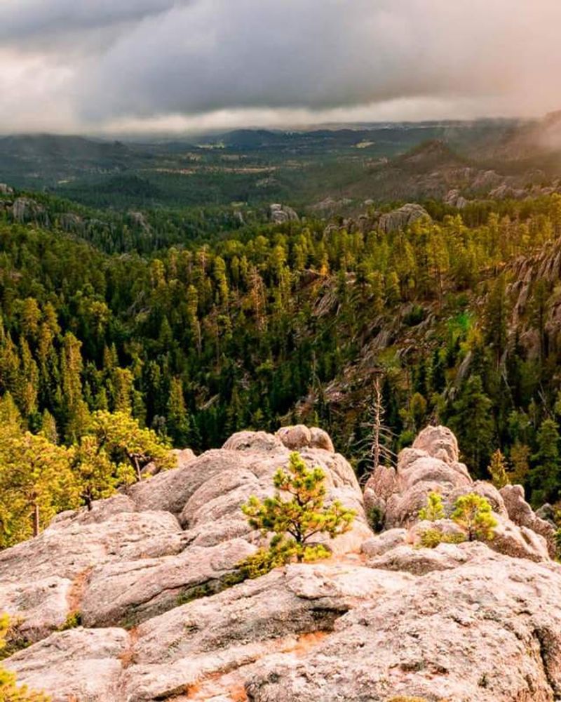 Black Hills (Paha Sapa)