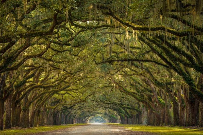 Savannah, Georgia