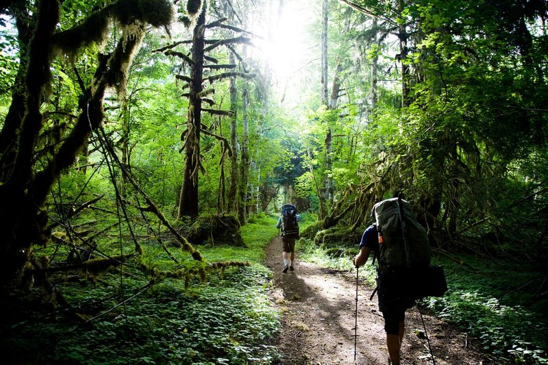 Olympic National Park, Washington