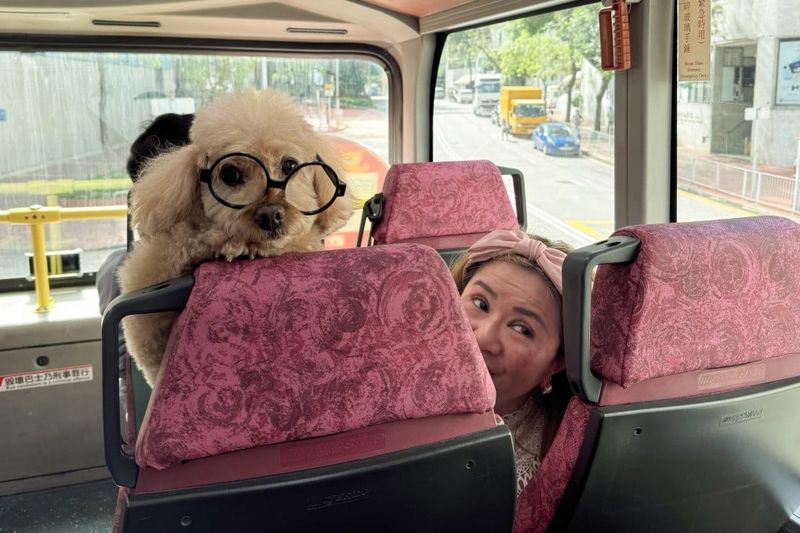 Pet-Friendly Options Exist