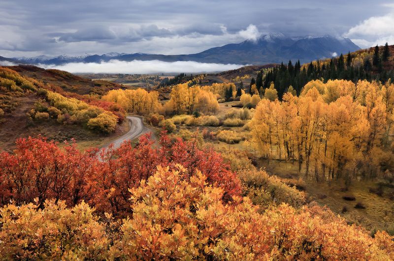 Gunnison National Forest