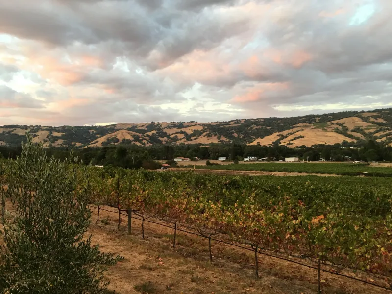 Boonville (Anderson Valley, Mendocino County)