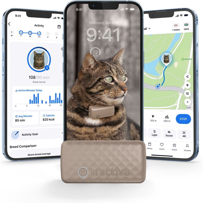 GPS Pet Tracker