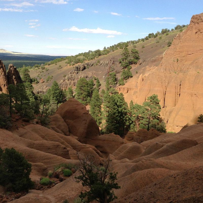 Red Mountain Trail, near Flagstaff (Coconino National Forest)