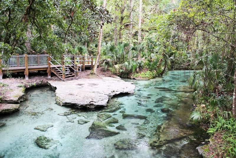 Rock Springs at Kelly Park — Apopka (Orlando area)