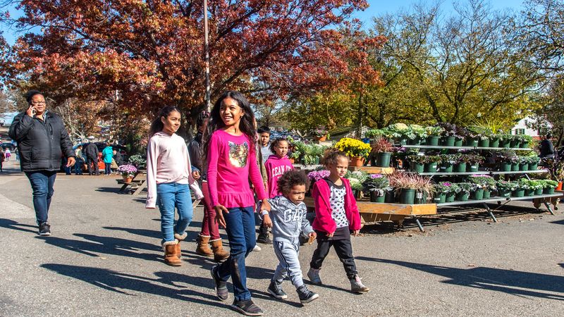 Linvilla Orchards — Media, PA (Delco Classic)