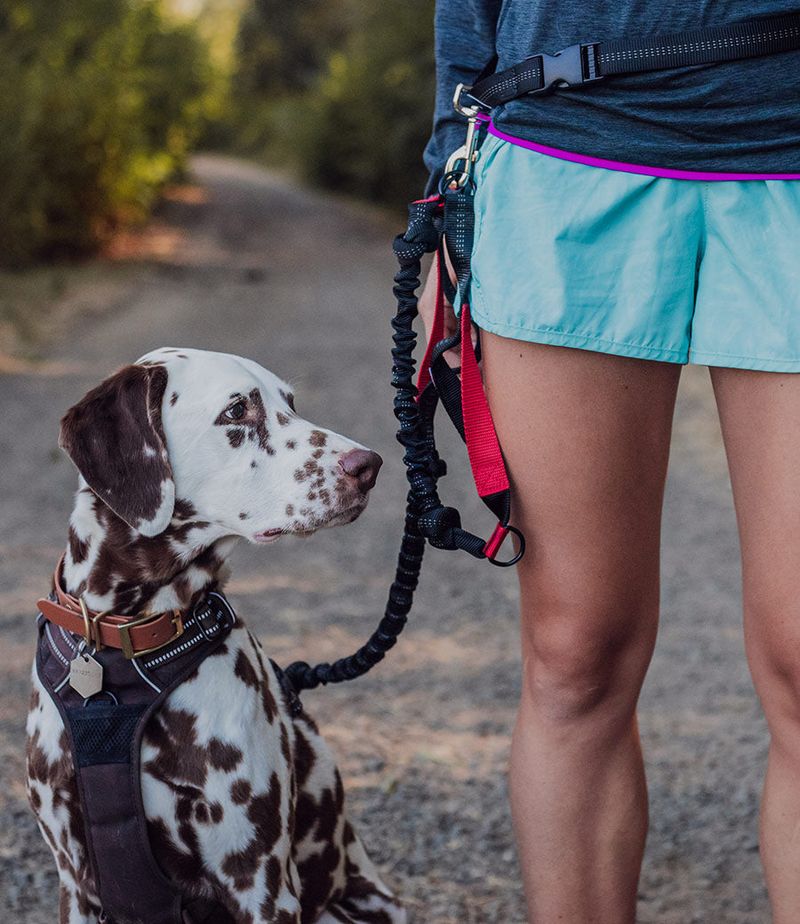 Hands-Free Waist Leash