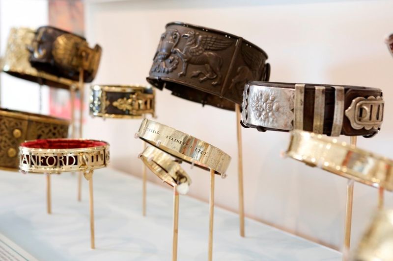 The Dog Collar Museum